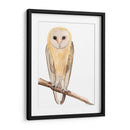 Hoo Dis Ii - Alicia Ludwig | Cuadro decorativo de Canvas Lab