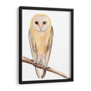 Hoo Dis Ii - Alicia Ludwig | Cuadro decorativo de Canvas Lab