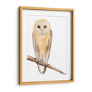 Hoo Dis Ii - Alicia Ludwig | Cuadro decorativo de Canvas Lab