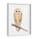 Hoo Dis Ii - Alicia Ludwig | Cuadro decorativo de Canvas Lab