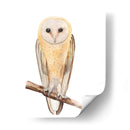 Hoo Dis Ii - Alicia Ludwig | Cuadro decorativo de Canvas Lab