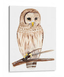 Hoo Dis Iii - Alicia Ludwig | Cuadro decorativo de Canvas Lab