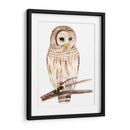 Hoo Dis Iii - Alicia Ludwig | Cuadro decorativo de Canvas Lab