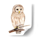 Hoo Dis Iii - Alicia Ludwig | Cuadro decorativo de Canvas Lab