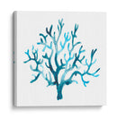 Azure Seafan I - June Erica Vess | Cuadro decorativo de Canvas Lab