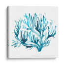 Azure Seafan Iii - June Erica Vess | Cuadro decorativo de Canvas Lab