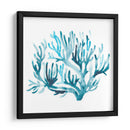 Azure Seafan Iii - June Erica Vess | Cuadro decorativo de Canvas Lab