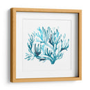 Azure Seafan Iii - June Erica Vess | Cuadro decorativo de Canvas Lab