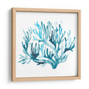 Azure Seafan Iii - June Erica Vess | Cuadro decorativo de Canvas Lab