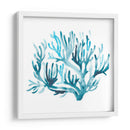 Azure Seafan Iii - June Erica Vess | Cuadro decorativo de Canvas Lab