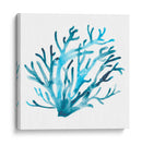Azure Seafan Iv - June Erica Vess | Cuadro decorativo de Canvas Lab