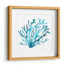 Azure Seafan Iv - June Erica Vess | Cuadro decorativo de Canvas Lab