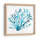 Azure Seafan Iv - June Erica Vess | Cuadro decorativo de Canvas Lab