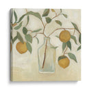 Vegetación Todavía Vida I - Emma Scarvey | Cuadro decorativo de Canvas Lab