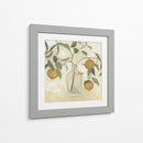 Vegetación Todavía Vida I - Emma Scarvey | Cuadro decorativo de Canvas Lab