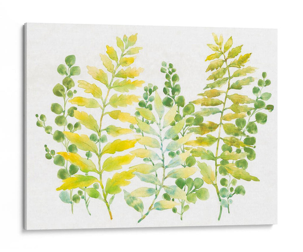 Vegetación Mezclada I - Tim OToole | Cuadro decorativo de Canvas Lab