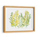 Vegetación Mezclada I - Tim OToole | Cuadro decorativo de Canvas Lab