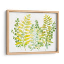 Vegetación Mezclada I - Tim OToole | Cuadro decorativo de Canvas Lab