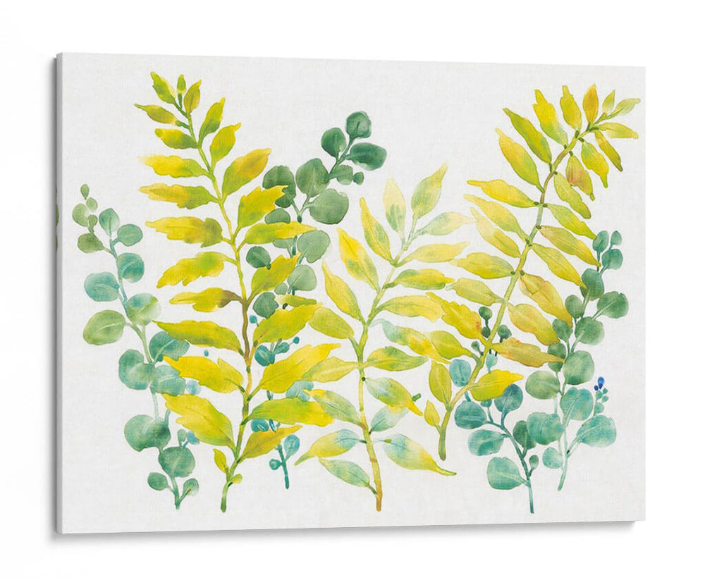 Vegetación Mixta Ii - Tim OToole | Cuadro decorativo de Canvas Lab