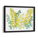 Vegetación Mixta Ii - Tim OToole | Cuadro decorativo de Canvas Lab