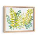 Vegetación Mixta Ii - Tim OToole | Cuadro decorativo de Canvas Lab