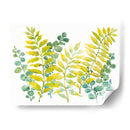 Vegetación Mixta Ii - Tim OToole | Cuadro decorativo de Canvas Lab