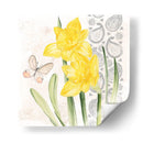 Flores Y Encaje Ii - Jennifer Paxton Parker | Cuadro decorativo de Canvas Lab