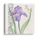 Flores Y Encaje Iii - Jennifer Paxton Parker | Cuadro decorativo de Canvas Lab