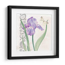 Flores Y Encaje Iii - Jennifer Paxton Parker | Cuadro decorativo de Canvas Lab