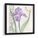 Flores Y Encaje Iii - Jennifer Paxton Parker | Cuadro decorativo de Canvas Lab