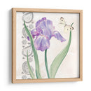 Flores Y Encaje Iii - Jennifer Paxton Parker | Cuadro decorativo de Canvas Lab