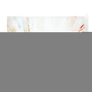 Serie Blanca Viii - Jennifer Gardner | Cuadro decorativo de Canvas Lab