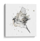 Estudio De Aves Gestales I - June Erica Vess | Cuadro decorativo de Canvas Lab