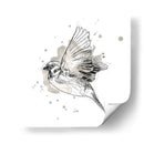 Estudio De Aves Gestales I - June Erica Vess | Cuadro decorativo de Canvas Lab