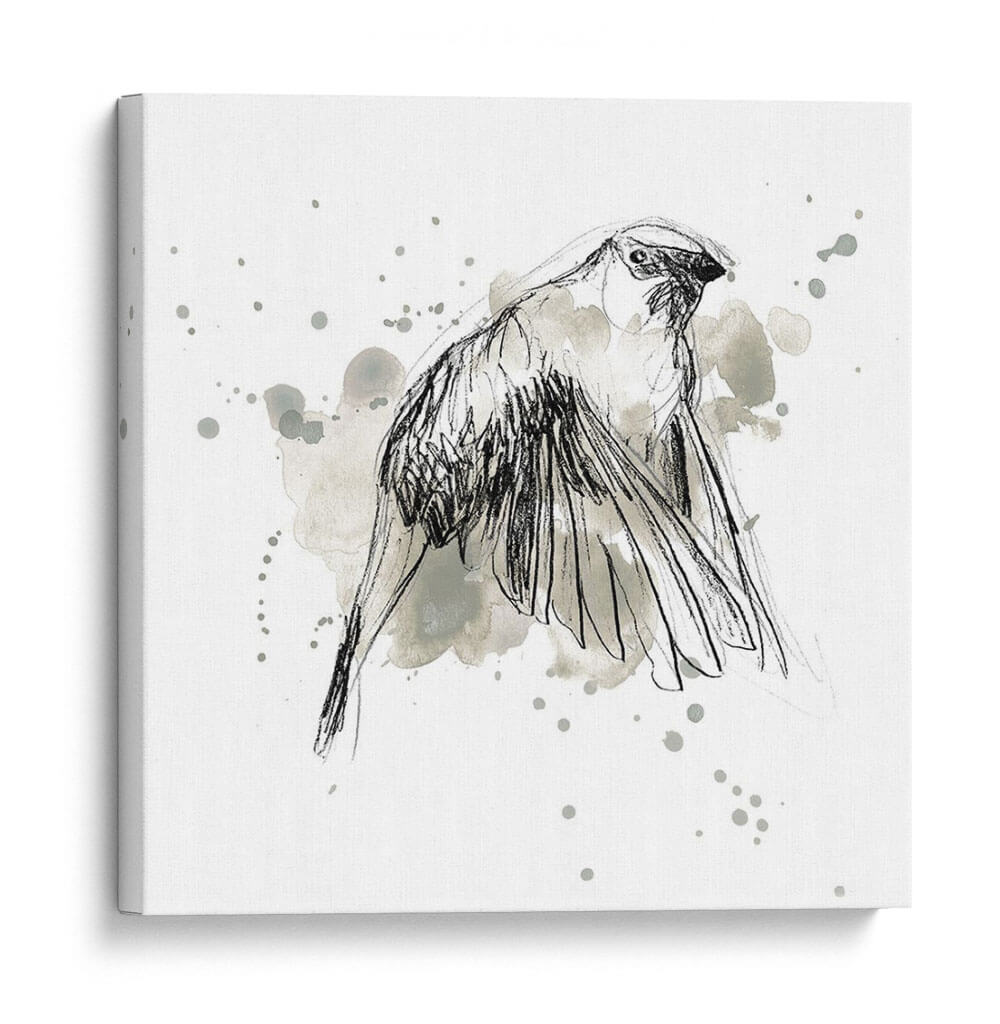 Estudio Gestural De Aves Iv - June Erica Vess | Cuadro decorativo de Canvas Lab