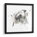 Estudio Gestural De Aves Iv - June Erica Vess | Cuadro decorativo de Canvas Lab