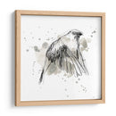 Estudio Gestural De Aves Iv - June Erica Vess | Cuadro decorativo de Canvas Lab