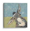 Farm Life-Mule - Jade Reynolds | Cuadro decorativo de Canvas Lab