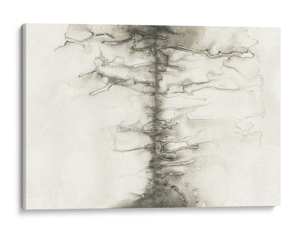 Memoria Infundida I - Renee W. Stramel | Cuadro decorativo de Canvas Lab