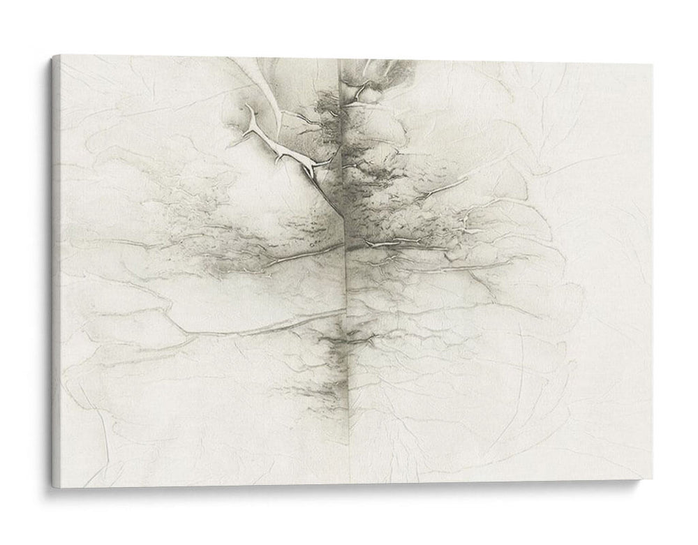 Memoria Infundida Ii - Renee W. Stramel | Cuadro decorativo de Canvas Lab