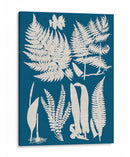 Ropa De Cama Y Helechos Azules I - Vision Studio | Cuadro decorativo de Canvas Lab