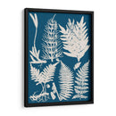 Ropa De Cama Y Helechos Azules Ii - Vision Studio | Cuadro decorativo de Canvas Lab