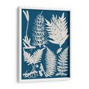 Ropa De Cama Y Helechos Azules Ii - Vision Studio | Cuadro decorativo de Canvas Lab