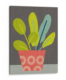 Clay Pot Iii - Chariklia Zarris | Cuadro decorativo de Canvas Lab