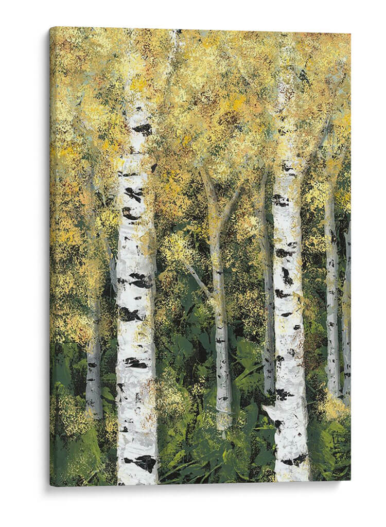 Birch Treeline I - Jade Reynolds | Cuadro decorativo de Canvas Lab