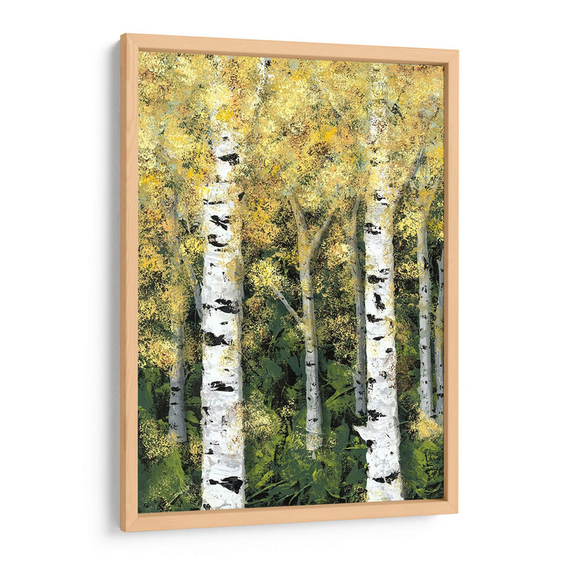 Birch Treeline I - Jade Reynolds | Cuadro decorativo de Canvas Lab