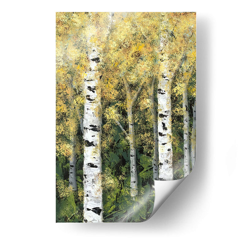 Birch Treeline I - Jade Reynolds | Cuadro decorativo de Canvas Lab