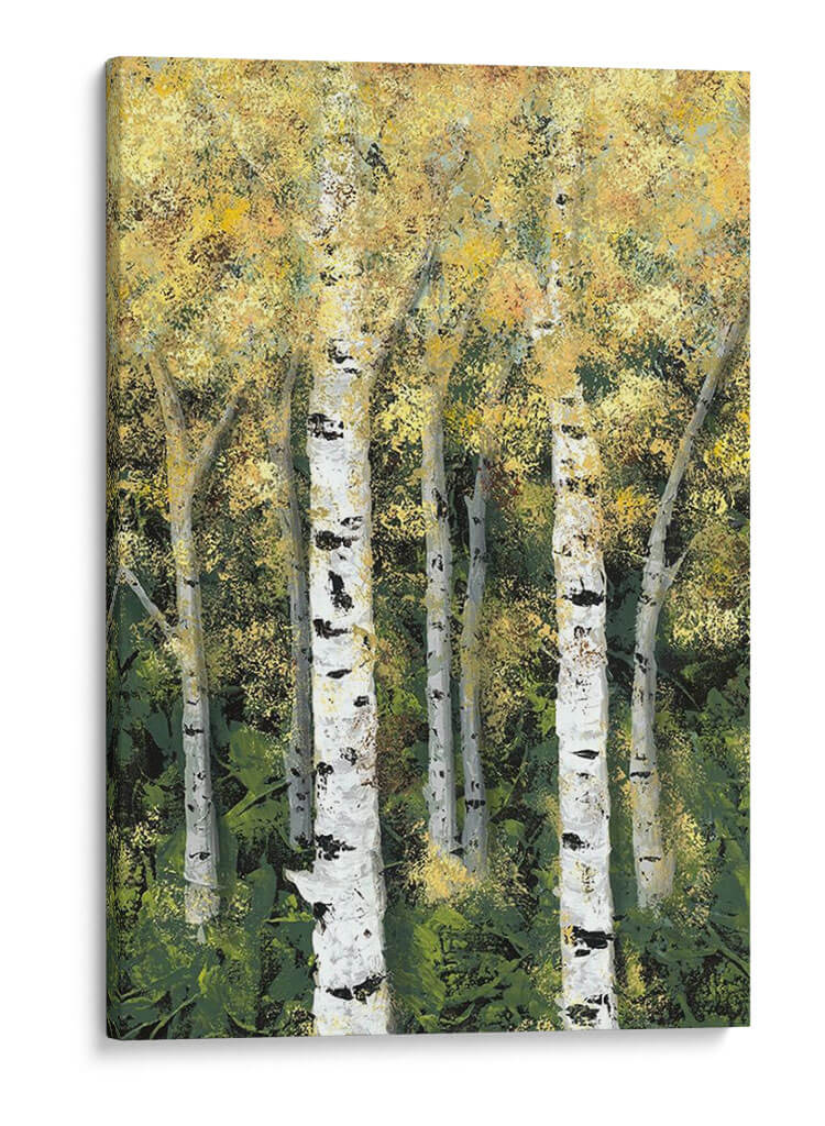 Birch Treeline Ii - Jade Reynolds | Cuadro decorativo de Canvas Lab