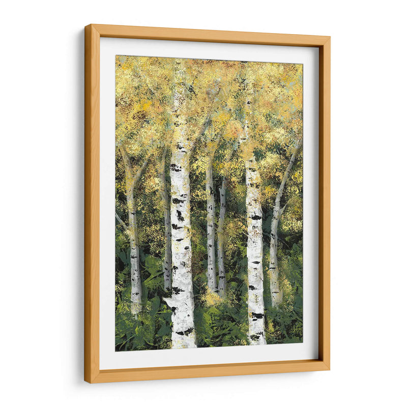 Birch Treeline Ii - Jade Reynolds | Cuadro decorativo de Canvas Lab