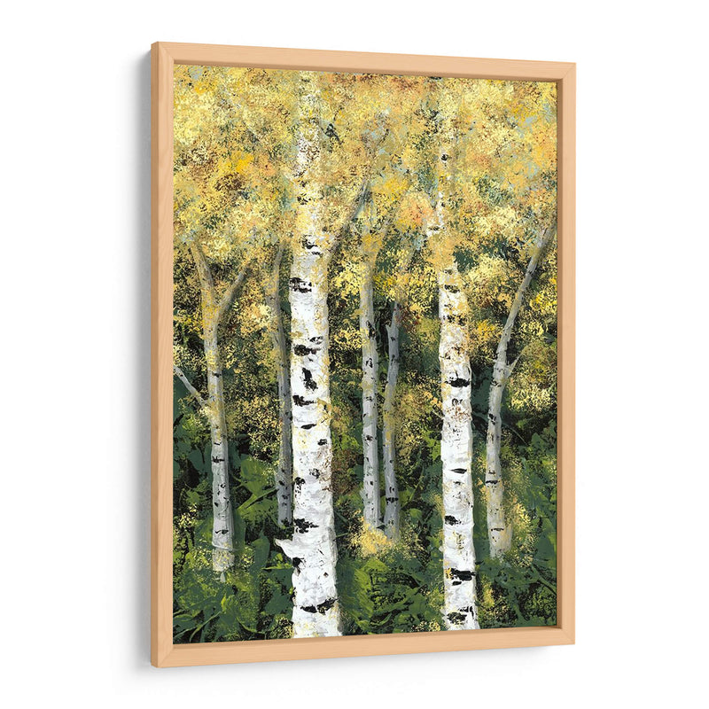 Birch Treeline Ii - Jade Reynolds | Cuadro decorativo de Canvas Lab